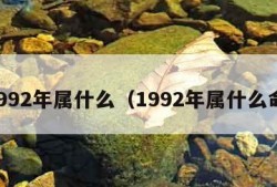 1992年属什么（1992年属什么命）