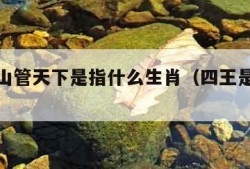 四王下山管天下是指什么生肖（四王是指哪个生肖）