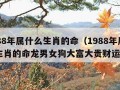 1988年属什么生肖的命（1988年属什么生肖的命龙男女狗大富大贵财运）