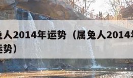 属兔人2014年运势（属兔人2014年全年运势）