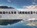 虎视眈眈是什么生肖（虎视眈眈是什么生肖9月25号）