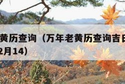 万年老黄历查询（万年老黄历查询吉日查询2024年2月14）