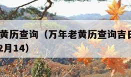 万年老黄历查询（万年老黄历查询吉日查询2024年2月14）