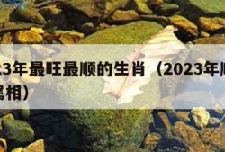 2023年最旺最顺的生肖（2023年顺利的属相）