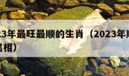 2023年最旺最顺的生肖（2023年顺利的属相）