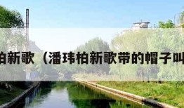 潘玮柏新歌（潘玮柏新歌带的帽子叫什么）