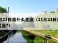 11月21日是什么星座（11月21日是什么星座?）