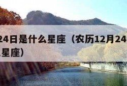 2月24日是什么星座（农历12月24日是什么星座）