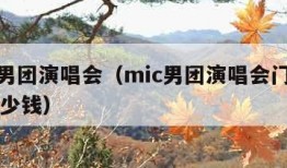 mic男团演唱会（mic男团演唱会门票一般多少钱）