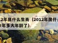 2012年属什么生肖（2012年属什么生肖今年多大年龄了）