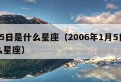 1月5日是什么星座（2006年1月5日是什么星座）