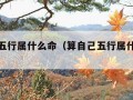 算自己五行属什么命（算自己五行属什么命运）