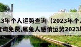 2023年个人运势查询（2023年个人运势查询免费,属兔人感情运势2023年）