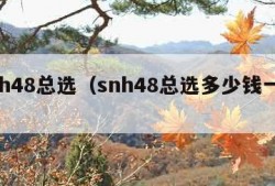 snh48总选（snh48总选多少钱一票）