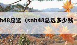 snh48总选（snh48总选多少钱一票）