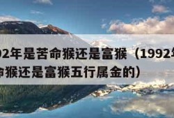 1992年是苦命猴还是富猴（1992年是苦命猴还是富猴五行属金的）