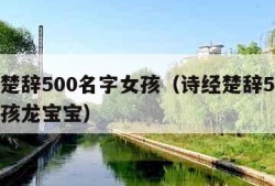 诗经楚辞500名字女孩（诗经楚辞500名字女孩龙宝宝）