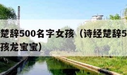 诗经楚辞500名字女孩（诗经楚辞500名字女孩龙宝宝）