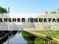 智能取名测名网免费（智能取名字大全免费查询）