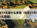 11月14日是什么星座（阳历11月14日是什么星座）