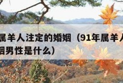 91年属羊人注定的婚姻（91年属羊人注定的婚姻男性是什么）