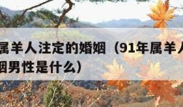 91年属羊人注定的婚姻（91年属羊人注定的婚姻男性是什么）