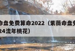 紫薇命盘免费算命2022（紫薇命盘免费算命2024流年桃花）