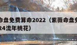 紫薇命盘免费算命2022（紫薇命盘免费算命2024流年桃花）