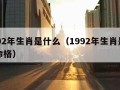 1992年生肖是什么（1992年生肖是什么命格）