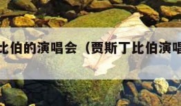 贾斯丁比伯的演唱会（贾斯丁比伯演唱会多少钱）