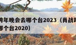 肖战跨年晚会去哪个台2023（肖战跨年晚会去哪个台2020）