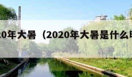 2020年大暑（2020年大暑是什么时间）