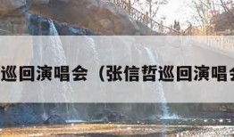 张信哲巡回演唱会（张信哲巡回演唱会珠海）