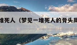 梦见一堆死人（梦见一堆死人的骨头周公解梦）