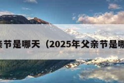 父亲节是哪天（2025年父亲节是哪天）