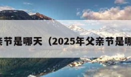 父亲节是哪天（2025年父亲节是哪天）