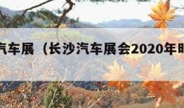 长沙汽车展（长沙汽车展会2020年时间表）