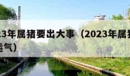 2023年属猪要出大事（2023年属猪人的运气）