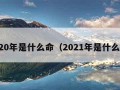 2020年是什么命（2021年是什么命）