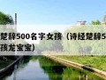 诗经楚辞500名字女孩（诗经楚辞500名字女孩龙宝宝）