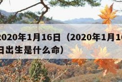 2020年1月16日（2020年1月16日出生是什么命）