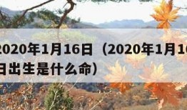 2020年1月16日（2020年1月16日出生是什么命）