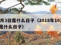 10月3日是什么日子（2018年10月3日是什么日子）