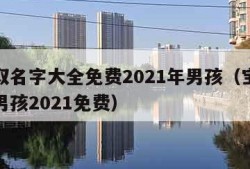 宝宝取名字大全免费2021年男孩（宝宝起名字男孩2021免费）