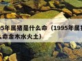 1995年属猪是什么命（1995年属猪是什么命金木水火土）