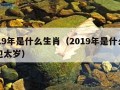 2019年是什么生肖（2019年是什么生肖犯太岁）