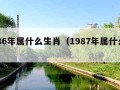 1986年属什么生肖（1987年属什么生肖）