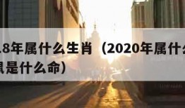 2018年属什么生肖（2020年属什么生肖鼠是什么命）