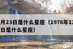 12月23日是什么星座（1978年12月23日是什么星座）