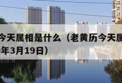 老黄历今天属相是什么（老黄历今天属相是什么2020年3月19日）